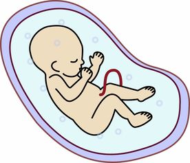 如何确认自己怀孕 如何确认自己怀孕